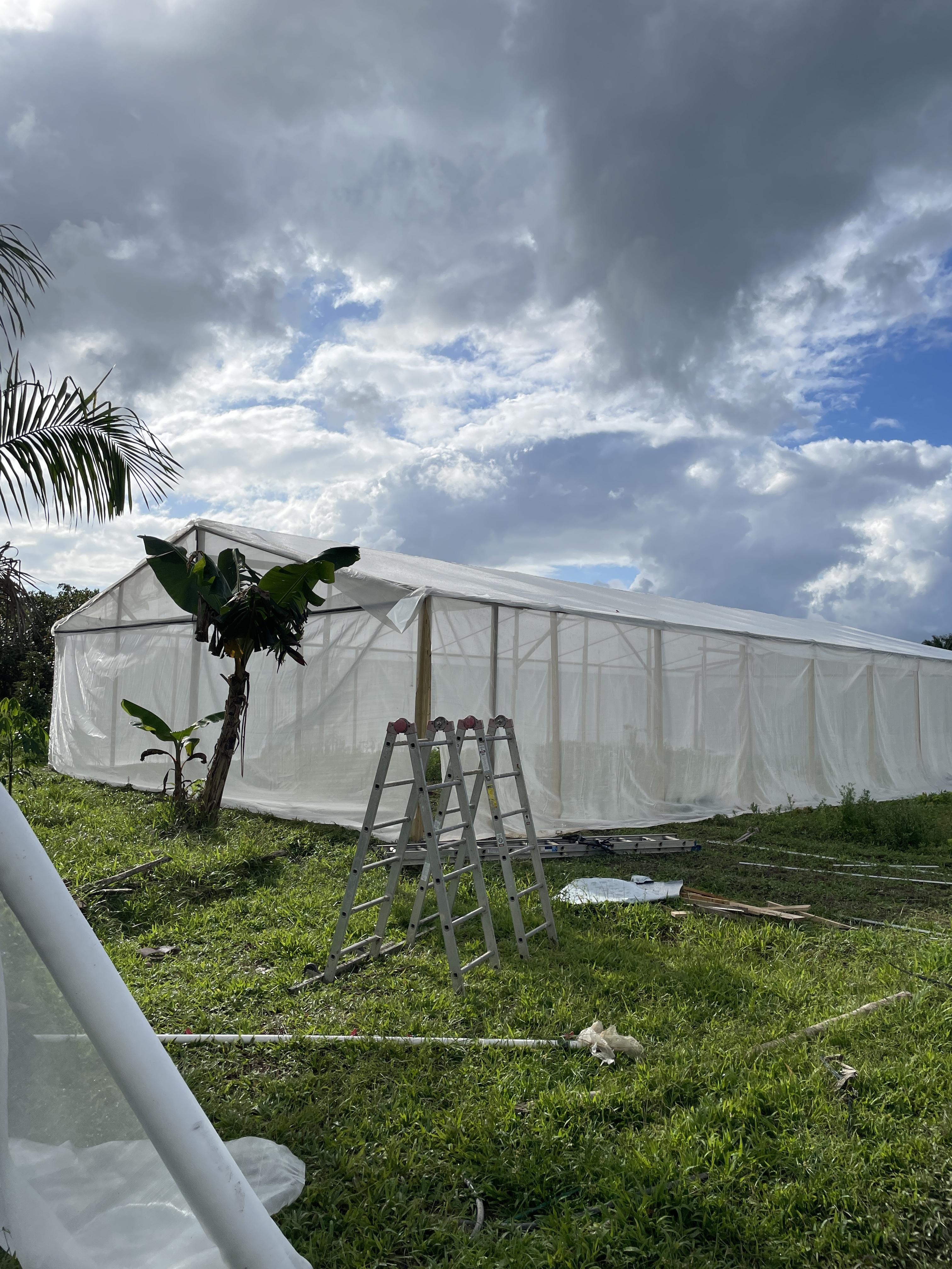 Exotica Fruit Farms